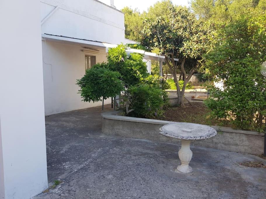 Casa Vacanze Salento - Villa Diso Galatina Exteriör bild